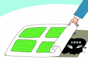 农膜苹果树、核桃树、樱桃树过量使用.jpg