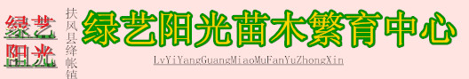 网站logo