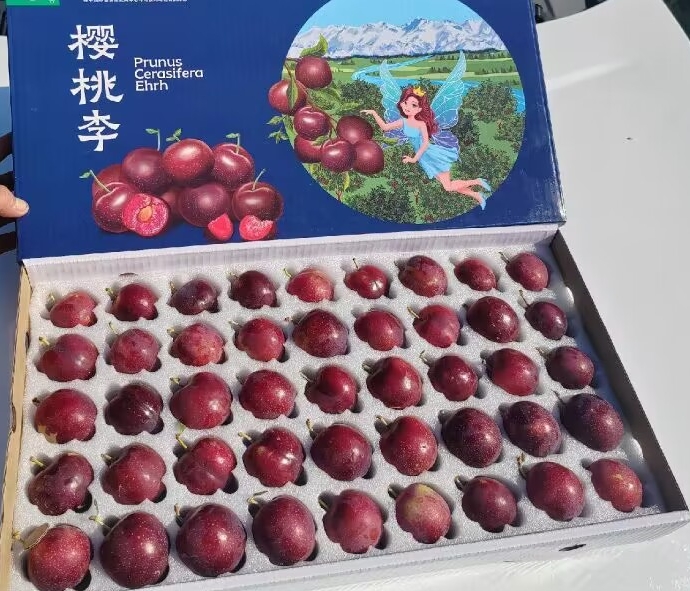 樱桃李包装.jpg