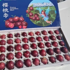 樱桃李新品种介绍及樱桃李苗价格表